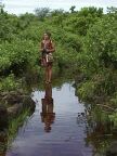 268 Nina On Flooded Trail.JPG (105 KB)